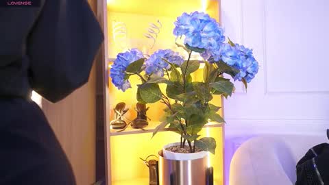 Elasummeer online show from 12-20-25, 11:50