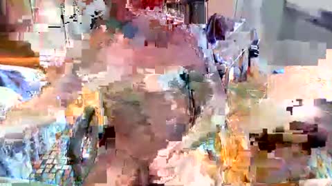 elbasca online show from 02-18-26, 12:12