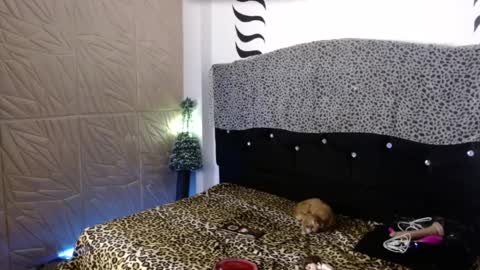 Snapshot of elektra_petite chatting on 12-31-24, 04:16 ELEKTRA hii my birthday is tomorrow but I will celebrate it on Sunday Ill wait for you online show from 12-31-24, 04:16