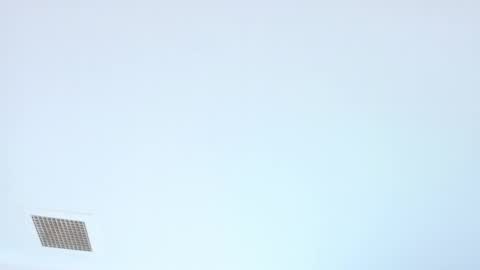 elektradoll1 online show from 06-05-26, 12:44