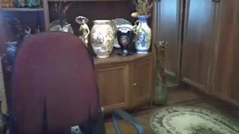 Snapshot of elenazed chatting on 07-12-26, 08:16 ElenaZed online show from 07-12-26, 08:16