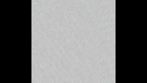 elephant_titus online show from 01-20-25, 11:02