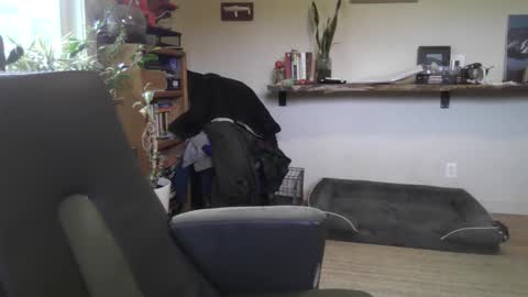 Snapshot of elephantfox chatting on 02-22-26, 07:01 fox online show from 02-22-26, 07:01