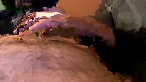 elgato66699 online show from 04-20-26, 04:59