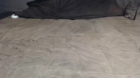 elgsslt online show from 04-08-26, 09:53