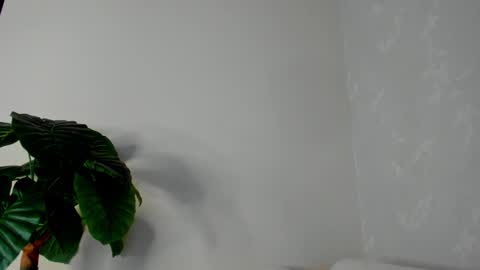 Snapshot of eliza_sanz chatting on 02-22-25, 11:03 My name is ElizaPVT is open online show from 02-22-25, 11:03