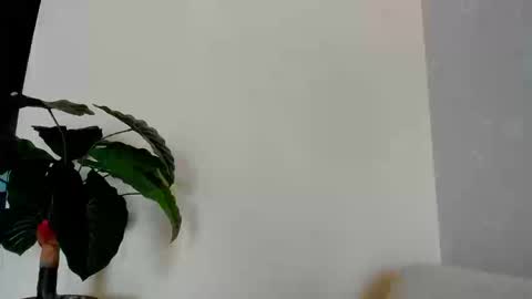 Snapshot of eliza_sanz chatting on 09-08-25, 09:25 My name is ElizaPVT is open online show from 09-08-25, 09:25