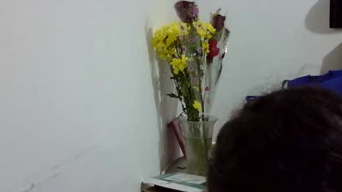 Elizabeth Martinez  online show from 03-12-26, 07:09