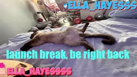 Ella NEXT STREAM 1TH DECEMBER 1200 - 0800 AM AT MOSCOW TIME online show from 01-07-25, 12:45
