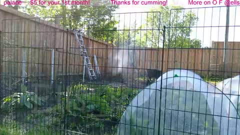 Snapshot of ells_palace chatting on 06-01-26, 01:35 Ella Bella Bo Bella online show from 06-01-26, 01:35