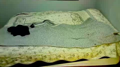 Elpouro online show from 03-07-26, 10:01