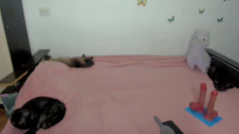 Elsa online show from 05-01-26, 06:23