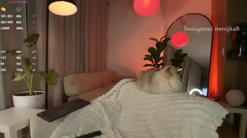 Snapshot of emam_taylor_ chatting on 06-25-26, 02:44 IG imrojita8 online show from 06-25-26, 02:44