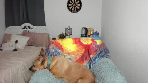 Ember Pheonixxx online show from 01-17-25, 03:12