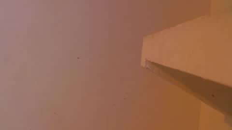 Snapshot of emily308876 chatting on 05-05-26, 12:35 emily308876 online show from 05-05-26, 12:35