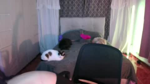Snapshot of emily_swan_04 chatting on 04-26-26, 01:47 Emily Swan online show from 04-26-26, 01:47