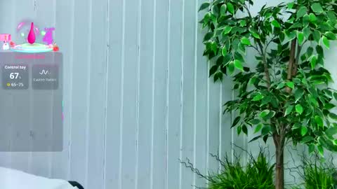 Emily online show from 01-14-26, 07:52