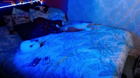 Snapshot of emma_ruiiz_ chatting on 05-16-26, 03:47 emma online show from 05-16-26, 03:47