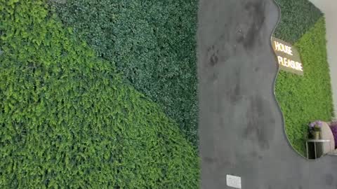 Snapshot of emmiily_z chatting on 01-31-25, 11:13 Emmiily online show from 01-31-25, 11:13