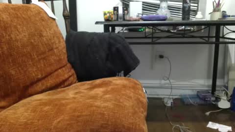 Snapshot of empusalamia chatting on 01-18-25, 11:22 empusalamia online show from 01-18-25, 11:22