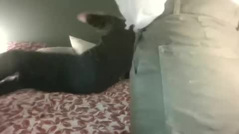 Steph et Eric online show from 02-28-25, 10:06