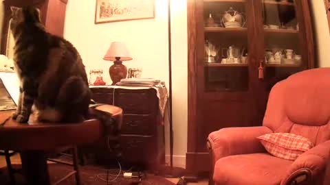 Steph et Eric online show from 11-26-25, 10:05