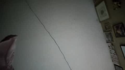 Snapshot of ernestomaravilla141 chatting on 02-17-26, 07:49 Ernesto online show from 02-17-26, 07:49