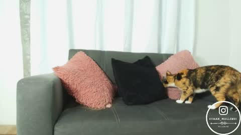 Ethan Muller online show from 04-15-26, 10:55