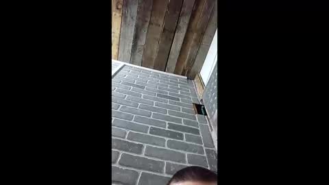 ethanfish600 online show from 03-03-26, 07:25