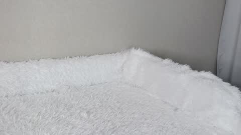 Snapshot of eva_varnerr chatting on 02-03-25, 01:19 eva varnerr online show from 02-03-25, 01:19