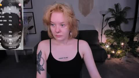      online show from 04-19-26, 06:02