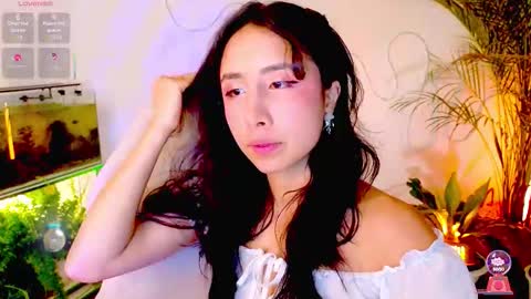 Im Eve or Chelle Next Stream 191224  online show from 02-21-26, 11:39