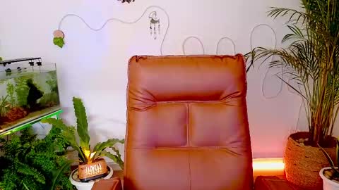 Im Eve or Chelle Next Stream 191224  online show from 05-01-26, 11:42