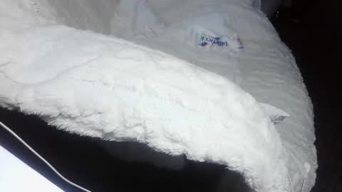 everlasthu online show from 02-09-25, 01:44