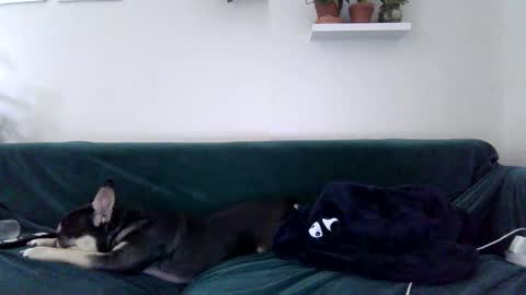 Badblondebunny online show from 10-27-25, 11:41