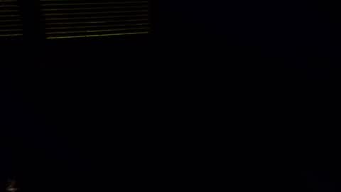 exhibitman69_ldb online show from 10-30-25, 05:09