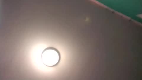 experttreecompany online show from 02-17-26, 09:54