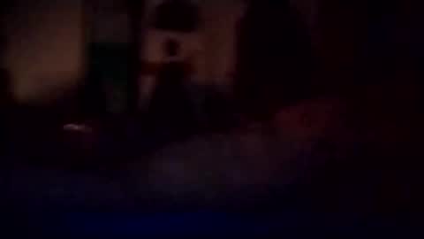 experttreecompany online show from 03-03-26, 12:11