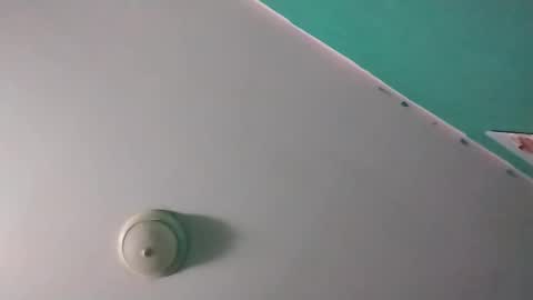 experttreecompany online show from 03-14-26, 10:10