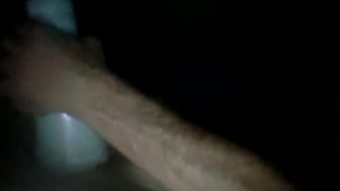 experttreecompany online show from 03-24-26, 12:32