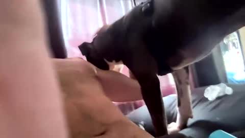 MichazaXO online show from 10-10-25, 04:28