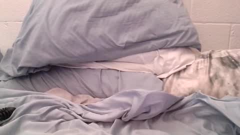 ez37going88 online show from 04-21-26, 02:12