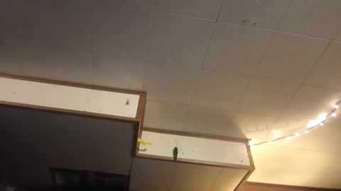 Snapshot of faexoxoxo chatting on 03-12-25, 06:40 Fae online show from 03-12-25, 06:40