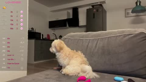 Bloom  online show from 04-22-26, 06:53