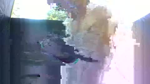 Snapshot of famousmaddyhazetv chatting on 10-21-25, 12:00 Maddy Haze online show from 10-21-25, 12:00