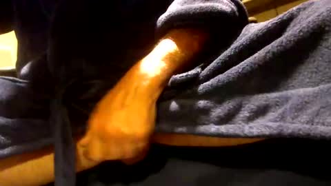 fastoys aka ...what ever.. online show from 06-01-26, 04:41