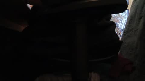 Fat Bernd online show from 10-26-25, 03:51