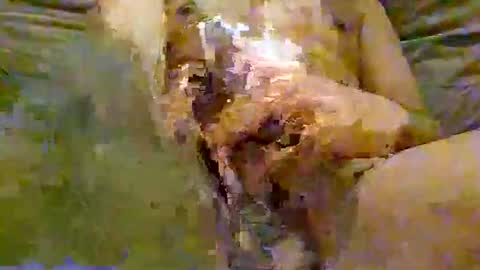 FeaturedCam online show from 06-02-26, 10:01
