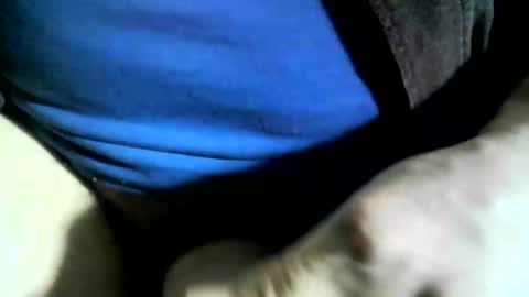 felicaste online show from 01-24-25, 06:04