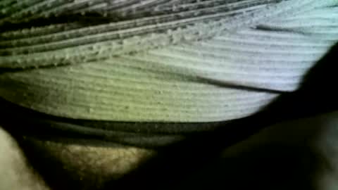 felicaste online show from 02-14-25, 09:24